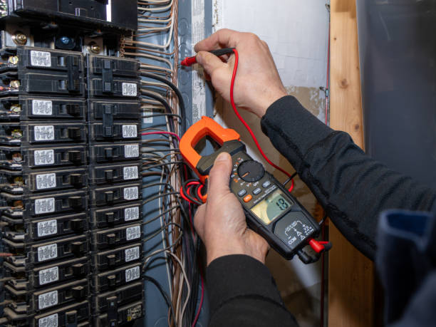 Best Electric Panel Repair  in Pukalani, HI